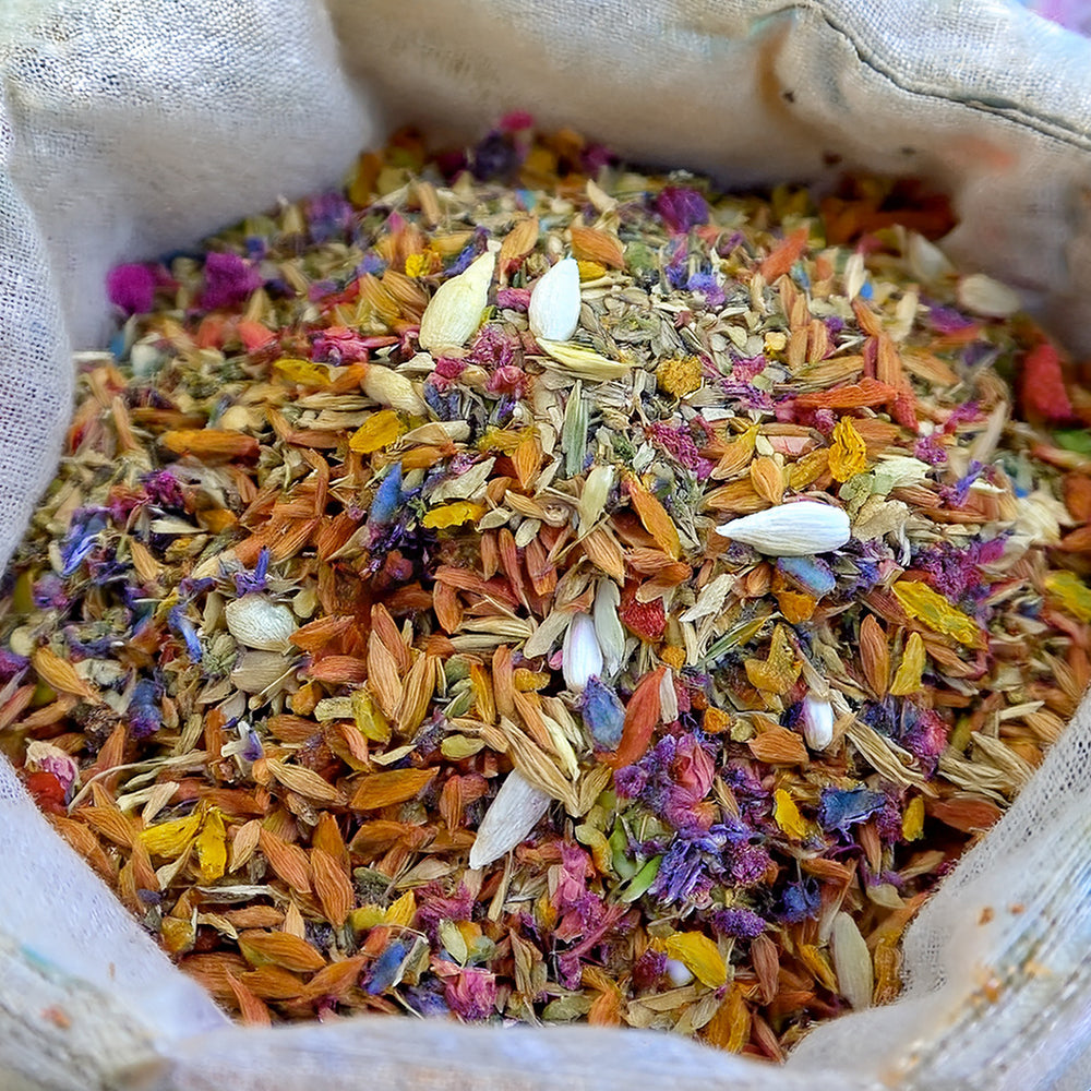 🍁👑GFOUK® Charming Blossom Seeds