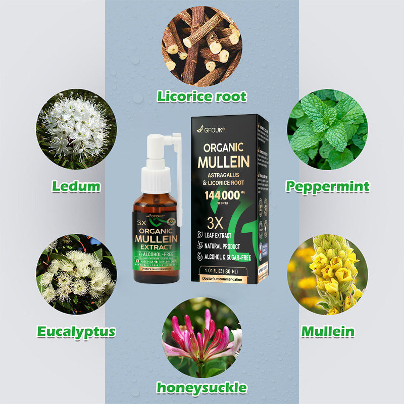 🍁💖GFOUK® 3X Concentrated Mullein Lung Cleanse Spray — Helps relieve difficulty coughing up phlegm, shortness of breath, excessive mucus, bronchitis, and lung infections