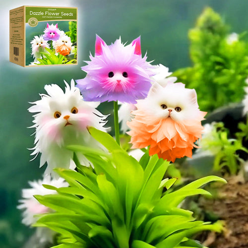 🍁👑GFOUK® Charming Blossom Seeds