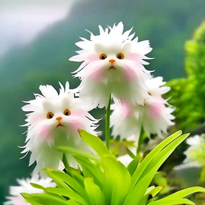 🍁👑GFOUK® Charming Blossom Seeds