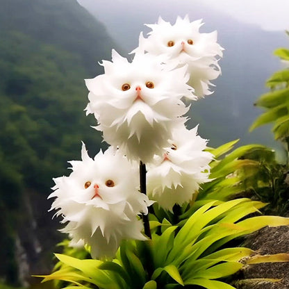 🍁👑GFOUK® Charming Blossom Seeds
