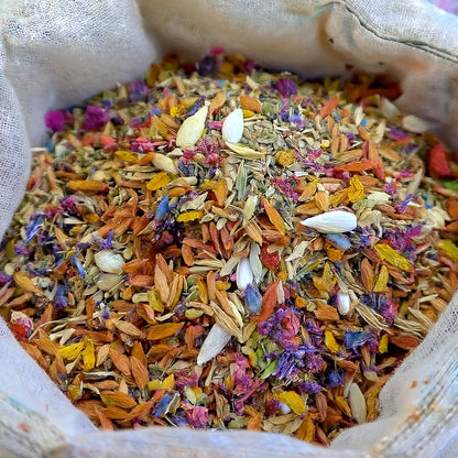 🍁👑GFOUK® Charming Blossom Seeds